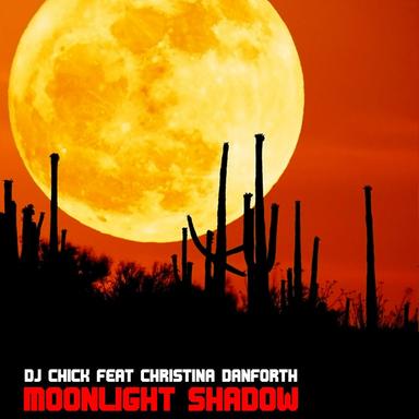 Moonlight Shadow - Francesco Baldi Remix