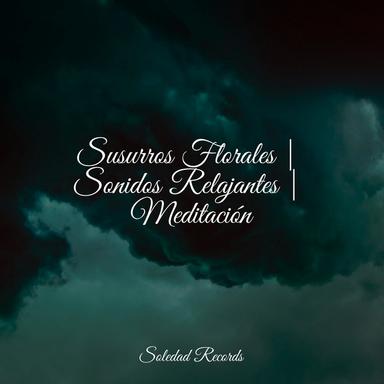 Templos en Crepúsculo