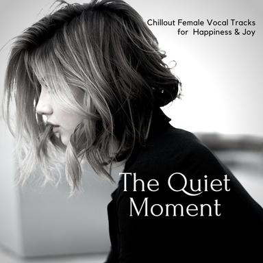 Last Chance Flight - Original Mix