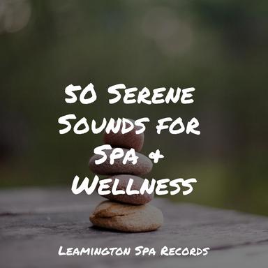 Music for Meditation