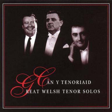 Wyt Ti'N Cofio'R Lloer Yn Codi?