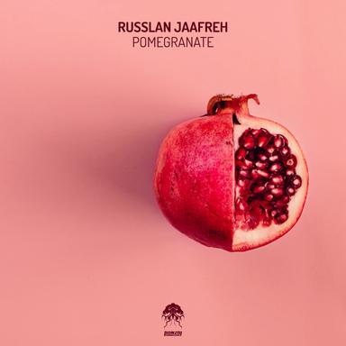 Pomegranate - AudioStorm Remix