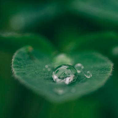 Foam of Time