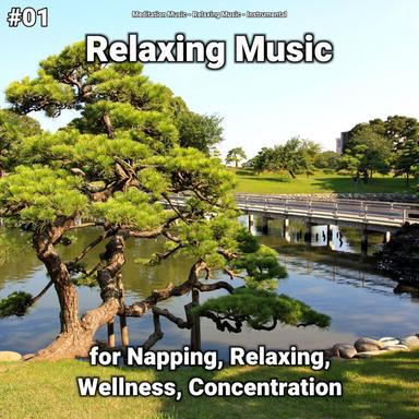 Amazing Rest