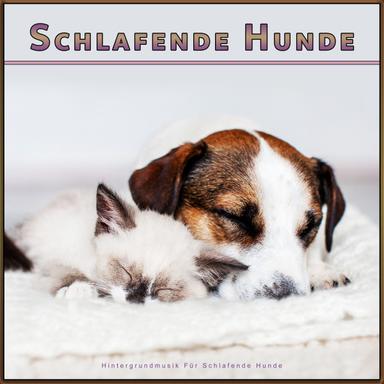 Schlafende Hunde