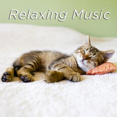 Bliss