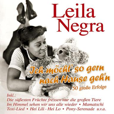 Wo ist mein kleiner Hund geblieben