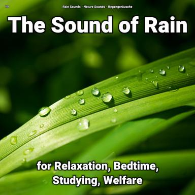 Ambient Soundscapes for Meditation