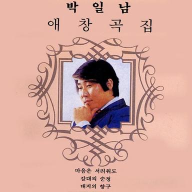 갈대의 순정