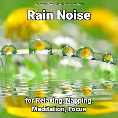 Calm Meditation