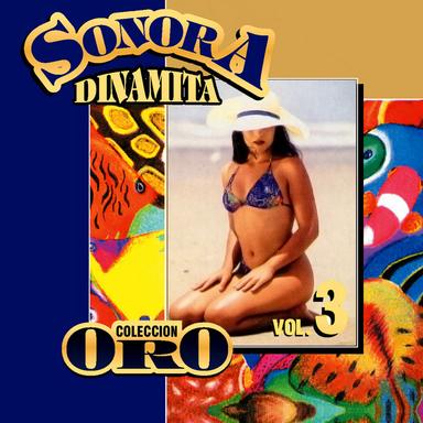 Mosaico Sonora Dinamita