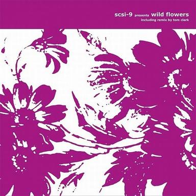 Wild Flowers