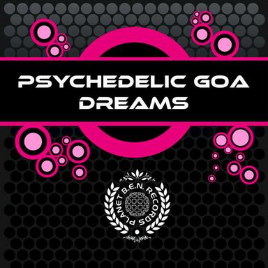 The Psychedelic Experience