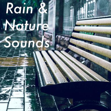 Summer Rain Showers
