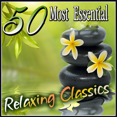 Piano Concerto No.1 in C major, Op. 15 : II. Largo