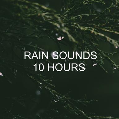 Rain Sounds Study