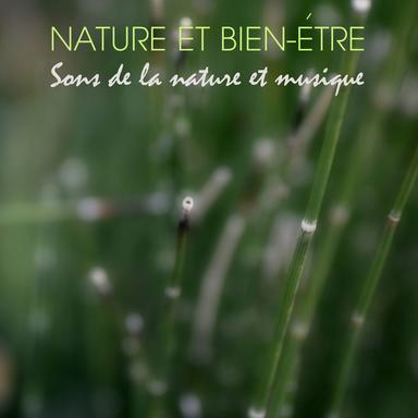 Musique De Relaxation