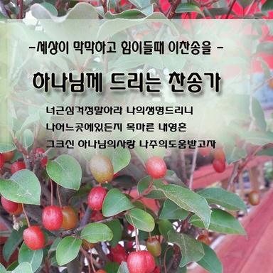 거룩한 주님께