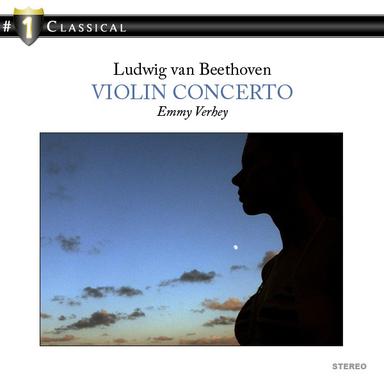 Concerto in D Minor for Violin and Strings, BWV 1052R (after Harpsichord Concerto No. 1 in D Minor): I. Allegro