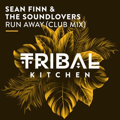 Run Away - Club Radio Edit