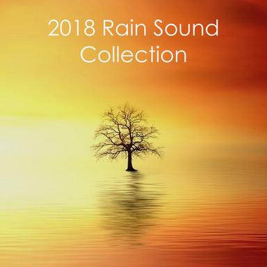 Ambient White Noise with Rain Drops