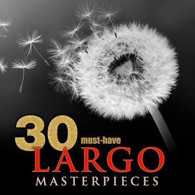 Harp Concerto No. 6 in B-Flat Major, Op. 4, HWV 294: II. Larghetto
