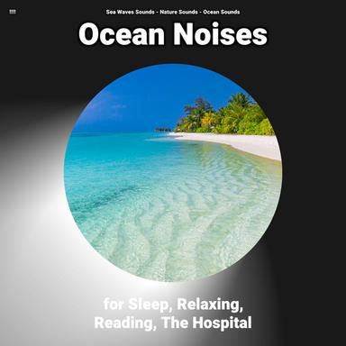 Relaxing Ocean Sounds Background Sound Effect