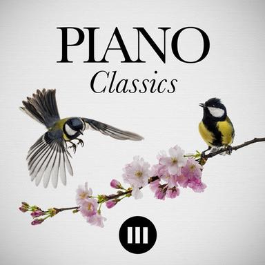 Piano Concerto No. 2 in G Minor, Op. 16: II. Scherzo. Vivace