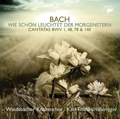 Jesu, der du meine Seele, BWV 78: II. Aria. Duetto