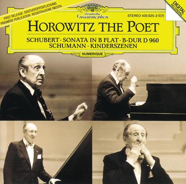 Piano Sonata No. 21 in B-Flat Major, D. 960: I. Molto moderato