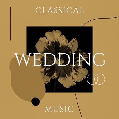 Flute and Harp Concerto in C Major, K. 299: II. Andantino