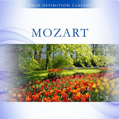 Quartet for Flute and Strings, in D major, K. 285: III. Rondo