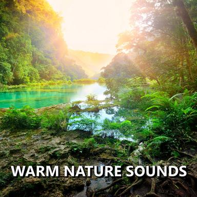 Calming Outside Nature Recording