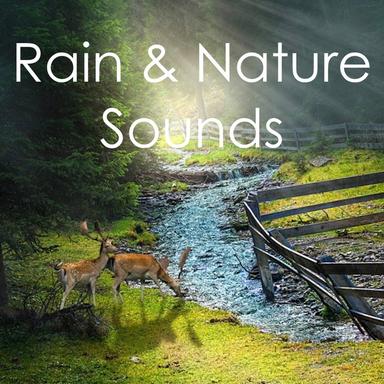 Showers in Spring
