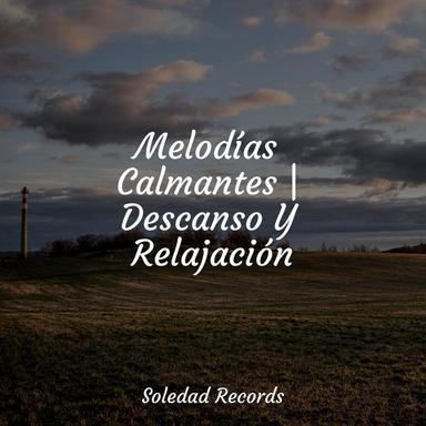 Profundamente Dormido