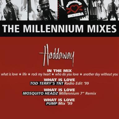What Is Love - Tnt's Alt.Radio Edit'99