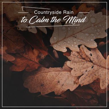 Heavy Rain on a Tin Roof