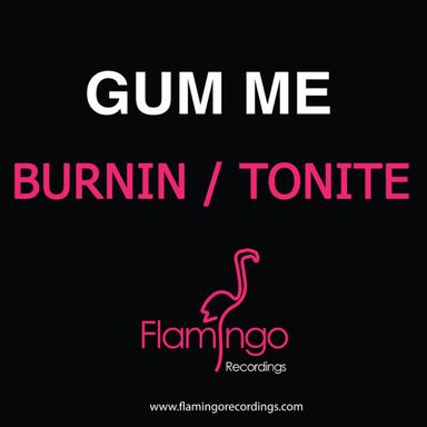 Burnin (Extended Mix)