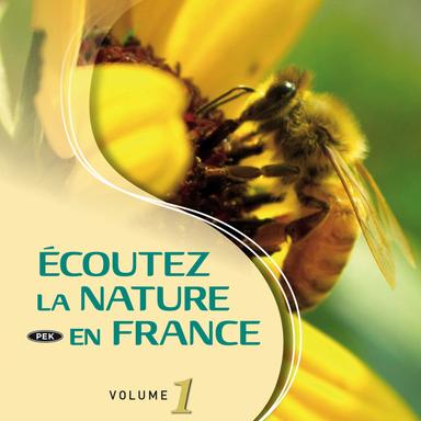 EN