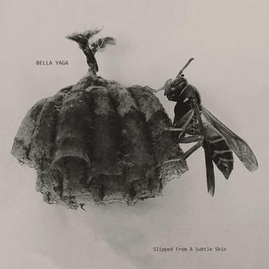 BY