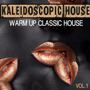 Let the Music Take You - House Bros Back to Funk