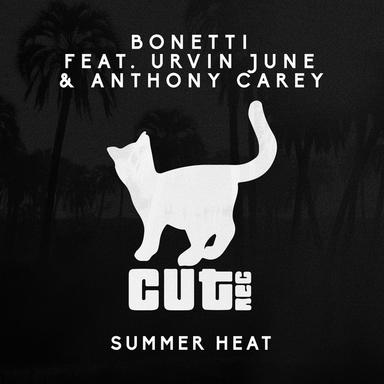 Summer Heat - Radio Edit