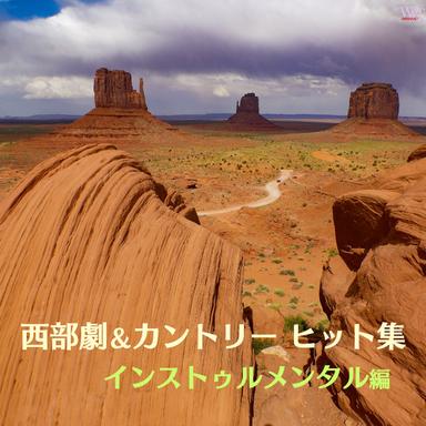 荒野の用心棒