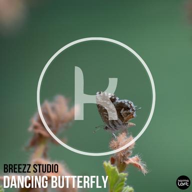 Dancing Butterfly - Remix 2017