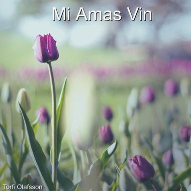 Mi Amas Vin