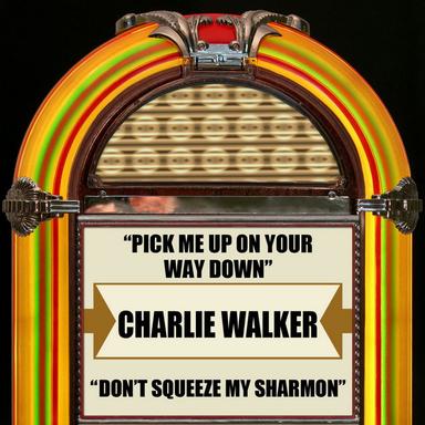 Don't Squeeze My Sharmon (Rerecorded)