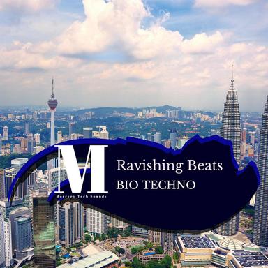Ravishing Beats - Original Mix