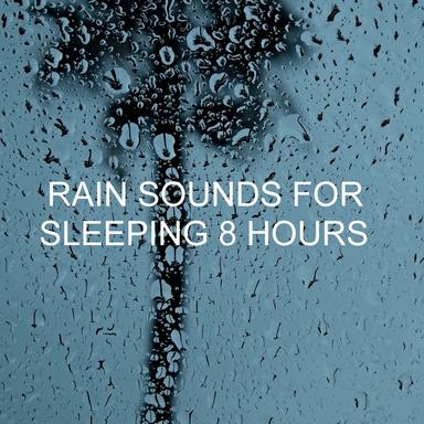 Rain for Sleeping