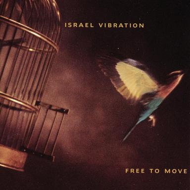 Free To Move