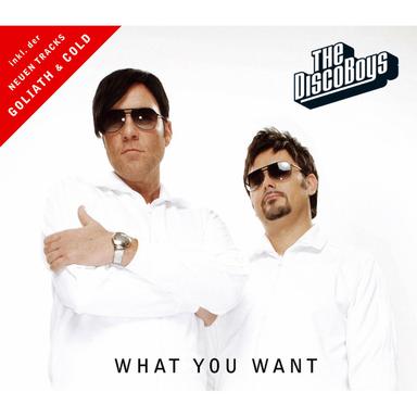 What You Want - Radio Edit